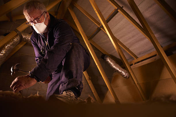 Best Commercial Insulation in Avon, PA
